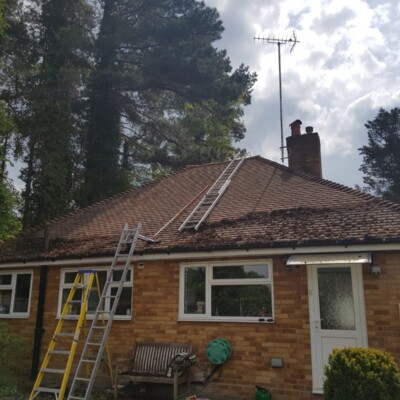 Roof Cleaning 1