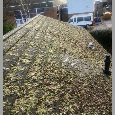 Roof Cleaning 2
